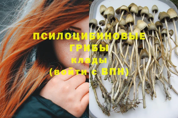 метадон Дмитриев