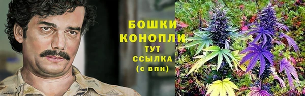 метадон Дмитриев